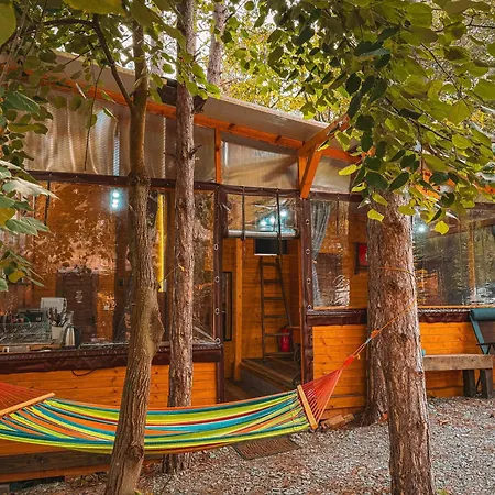 캠프장 борче *