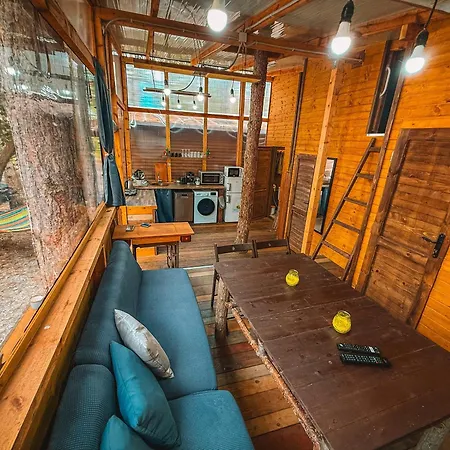 борче キャンプ場 *