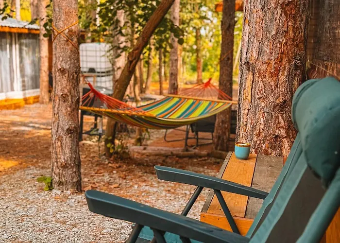 Campingplads борче