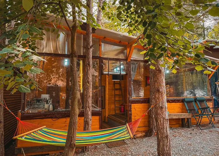 캠프장 борче *