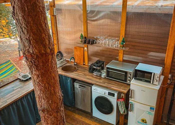 캠프장 борче